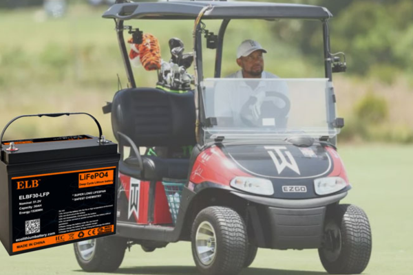 The Science Behind A 36V Golf Cart Battery