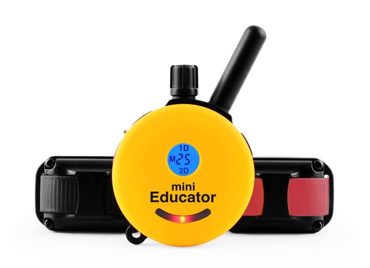 Mini Educator Battery